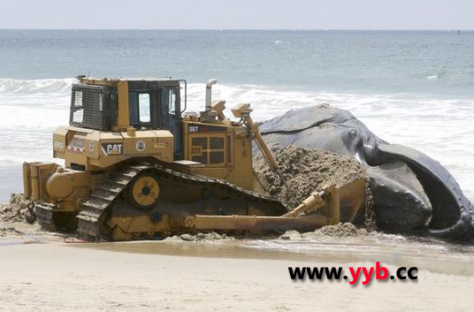 ���ر��Վ�����ɼ�������������L