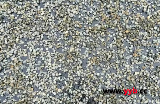 �_(d��)������ע���׵�·�B(y��ng)�o���g(sh��) ���|(zh��)����