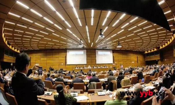 �����ھSҲ�{�l(f��)���ɳ��m(x��)�l(f��)չ�l(f��)�����v