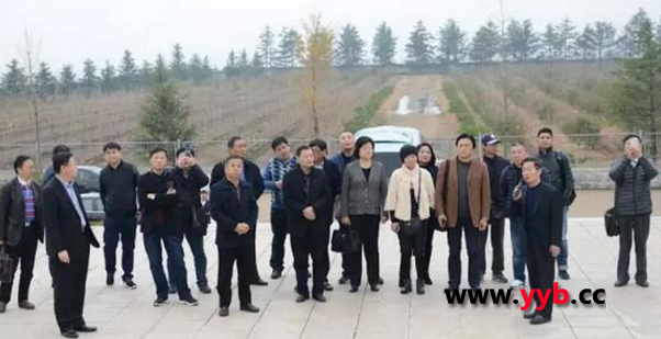 �Ϻ��г����^(q��)���̕�һ�Ё��e�����A���F���^����