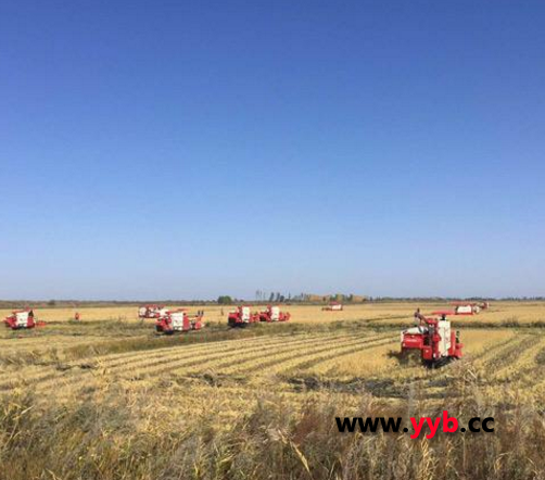 ���ֹ���RG50�p��������(j��)��ˮ���C(j��)�A�ÿ͑�ϲ�g