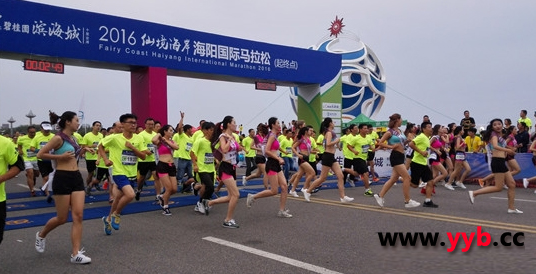 ���A���Fꠅ���2016�ɾ�������ꖇ��H�R���ɻ��