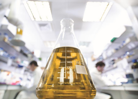 ���׌Һ���͵��坍���_��