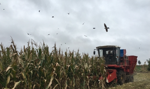 ���יC��&ldquo;��ԭһ̖&rdquo;���^�������䌍