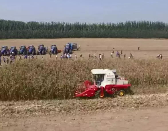 �r(n��ng)����Ĵ�醱�������ʾ���r(n��ng)��