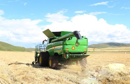 �s���Ϡ�2015��(n��i)����?zh��n)տ͑��P(gu��n)���Є�(d��ng)����(d��ng)