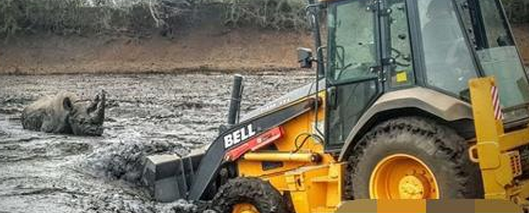 �ھ�CҲ�����棺��������