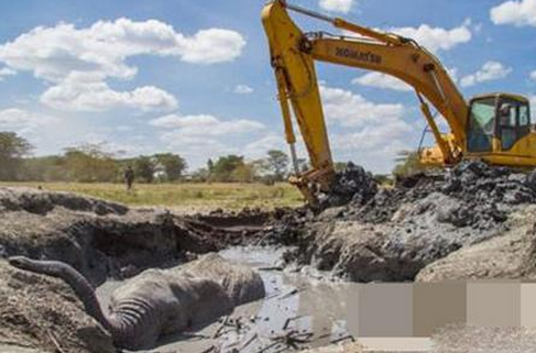 �ھ�CҲ�����棺��������