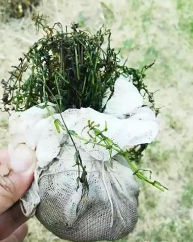 ���B(t��i)��ˮ֮����