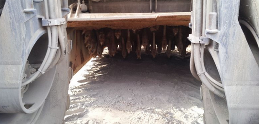 ���݆�Ļ���