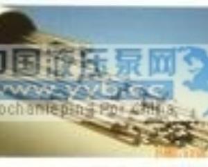 ����(y��ng)T307�~**** 