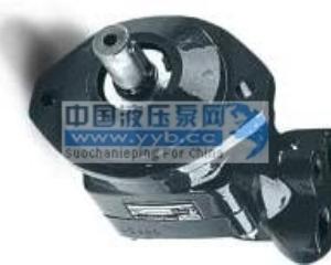 ����(y��ng)PZS׃��������