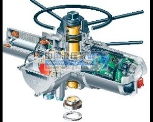 ����(y��ng)Ӣ��(gu��)�_�пˈ�(zh��)����