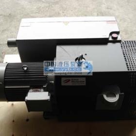 ����(y��ng)���䘷(l��)/������RIETSCHLE����ձ�����c�S��