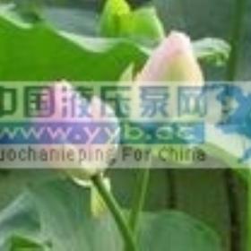 ����(y��ng)�{��ITO��