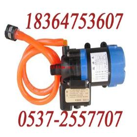 ���F��BPW250������F�õV�Ç��F��