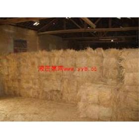 ��(y��u)�ݵ��Ƅӵ���Һ������C����Һ������|�V���Ƅӵ���Һ������C