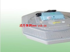 Ҏ(gu��)ģ���ĵ�������̩�����C(j��)���˴���