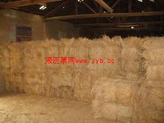 ��(y��u)�ݵ��Ƅ�(d��ng)����Һ������C(j��)����Һ������(y��ng)|�V���Ƅ�(d��ng)����Һ������C(j��)