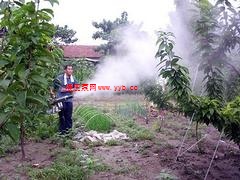 �|(zh��)���^�õ�늄�(d��ng)�}�_���F�C(j��)�������u 늄�(d��ng)�}�_���F�C(j��)���a(ch��n)�S��