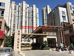 ʯ�{���������{(di��o)�����۸������������{(di��o)